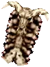 Skull Shield